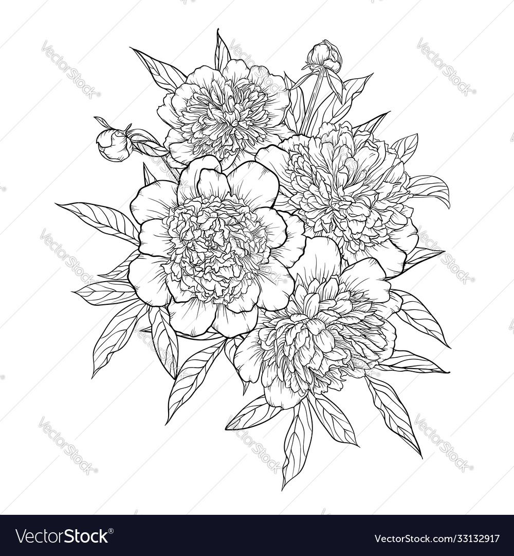 Beautiful monochrome black and white bouquet Vector Image