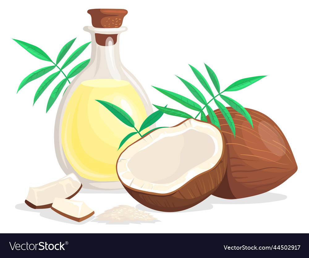 Coconut oil bottle and half nut cartoon icon