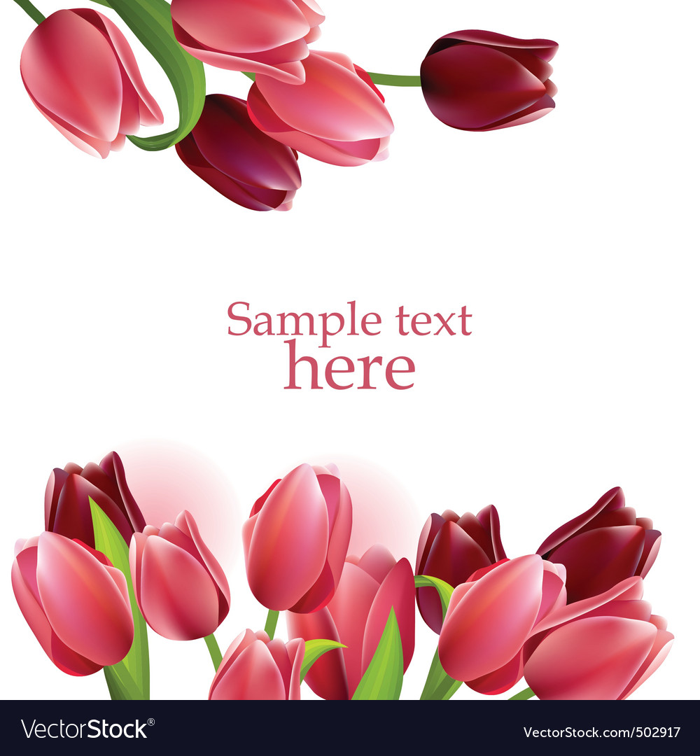 Floral frame with tulips Royalty Free Vector Image