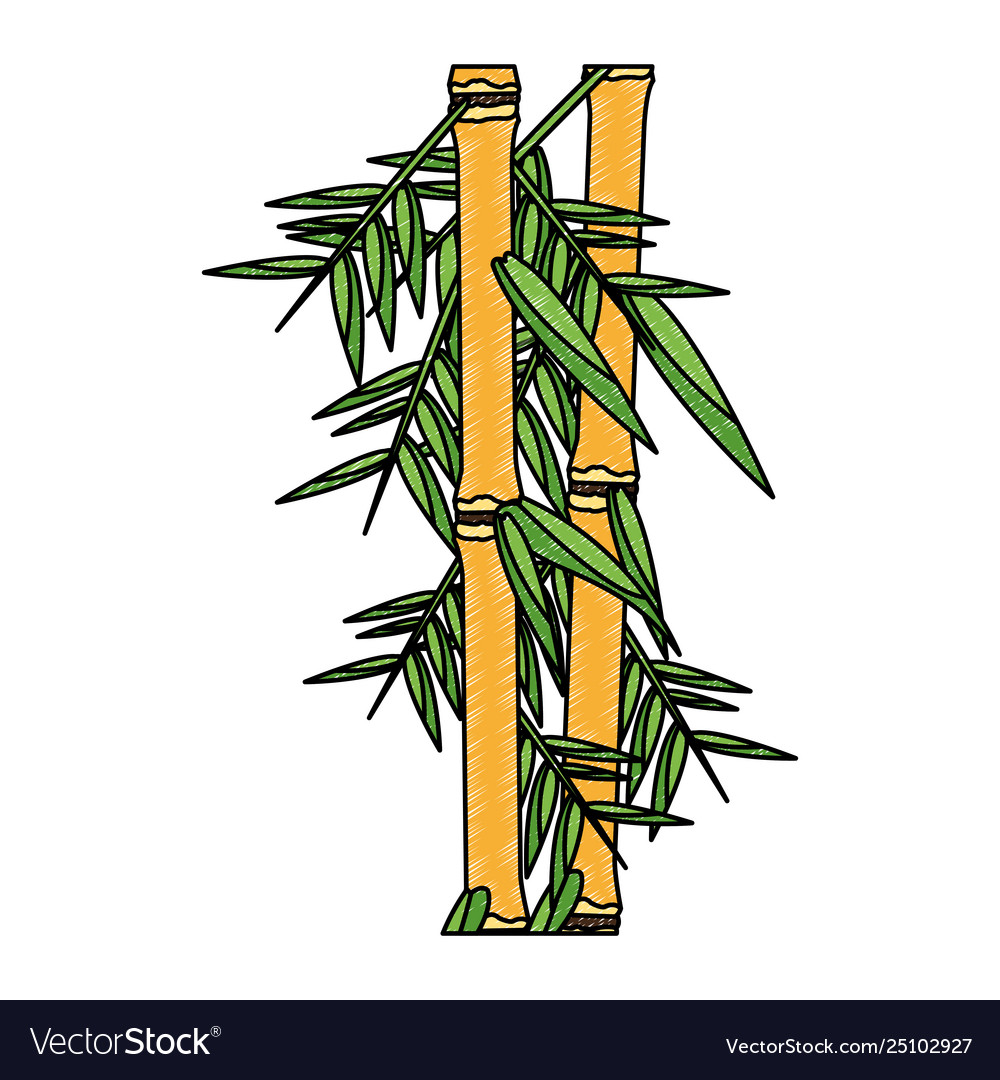 Bamboo asian plant scribble Royalty Free Vector Image