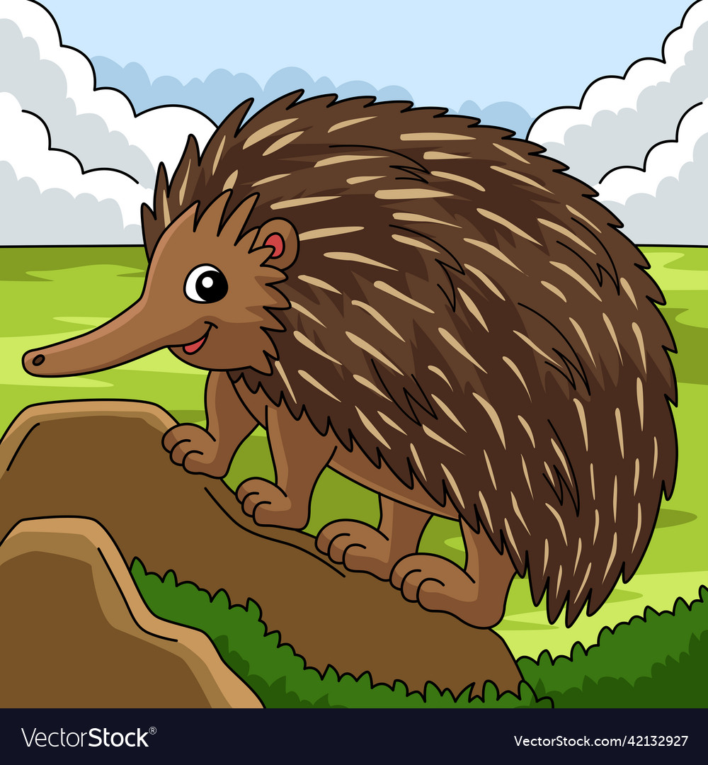 Echidna animal colored cartoon Royalty Free Vector Image