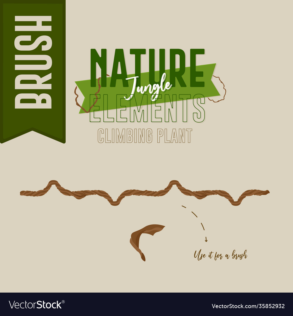 Mountain nature jungle Royalty Free Vector Image