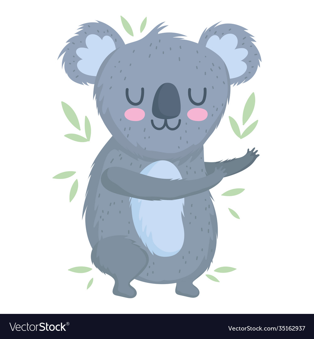 Cute koala animal safari cartoon with leaf foliage Cute koala animal safari cartoon with leaf foliage