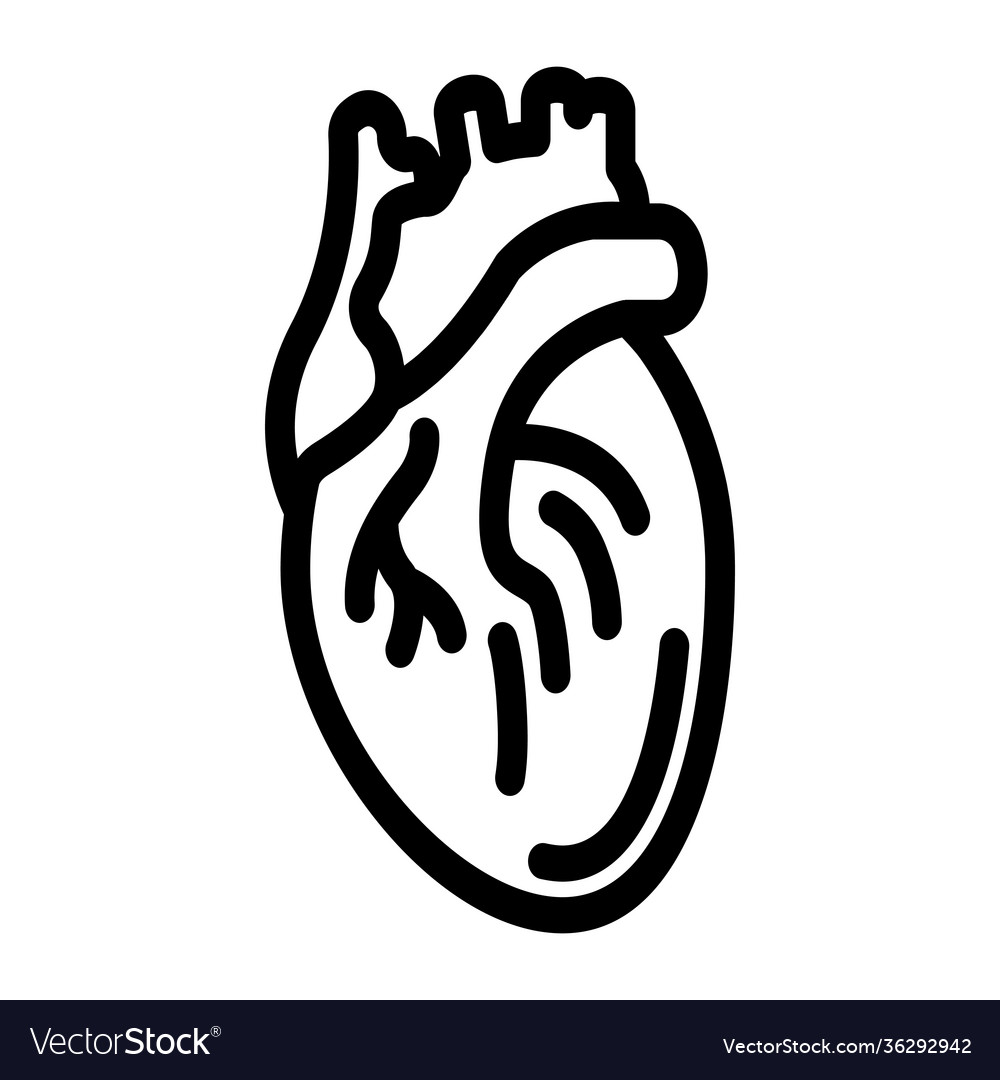 Heart Royalty Free Vector Image - VectorStock