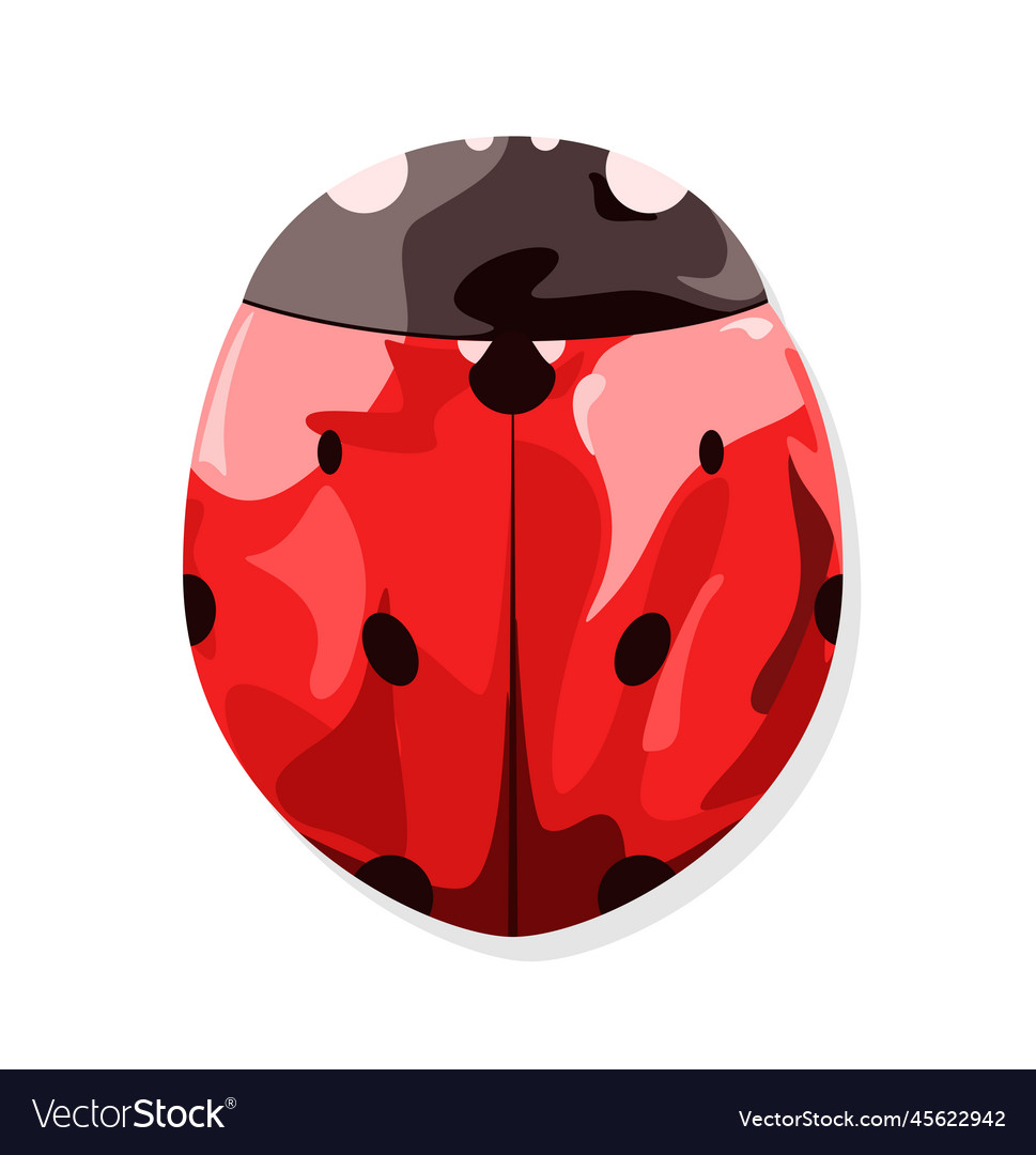 Ladybug Royalty Free Vector Image - VectorStock