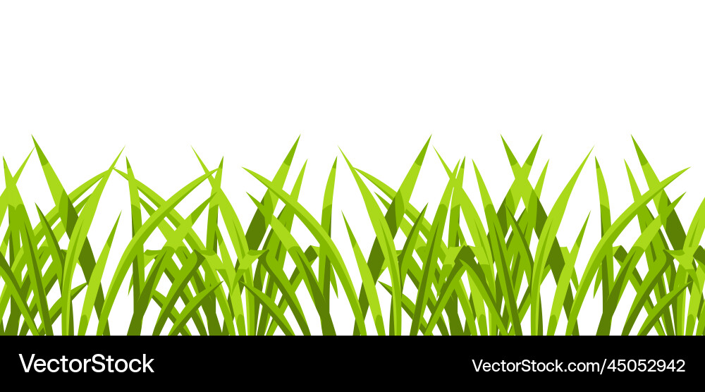 Seamless pattern with green grass beautiful Vector Image