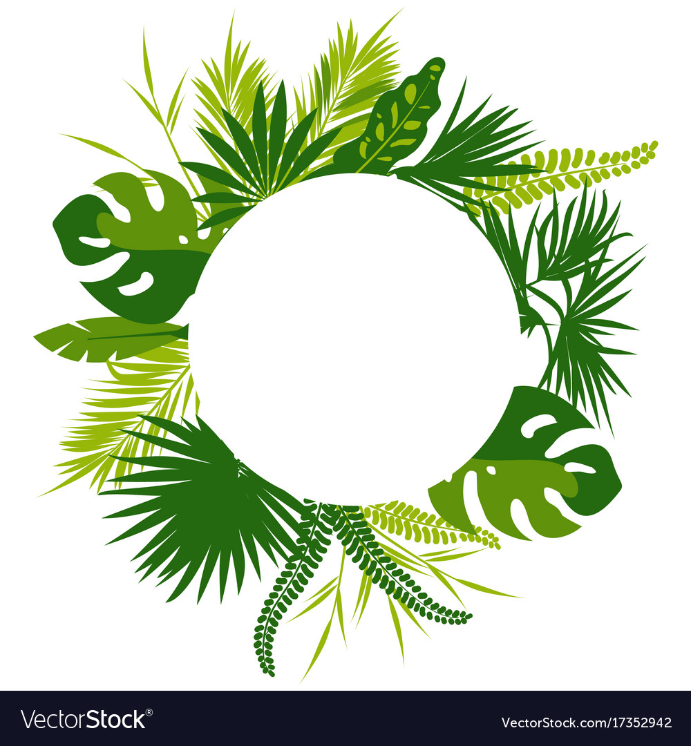 Tropical leaves Royalty Free Vector Image - VectorStock