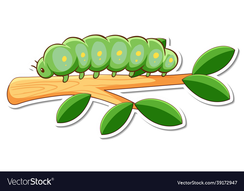 Cartoon character of green worm on a branch Vector Image