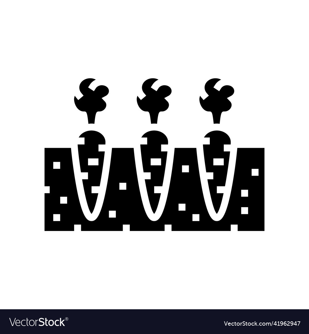 Garden with growing carrot glyph icon Royalty Free Vector