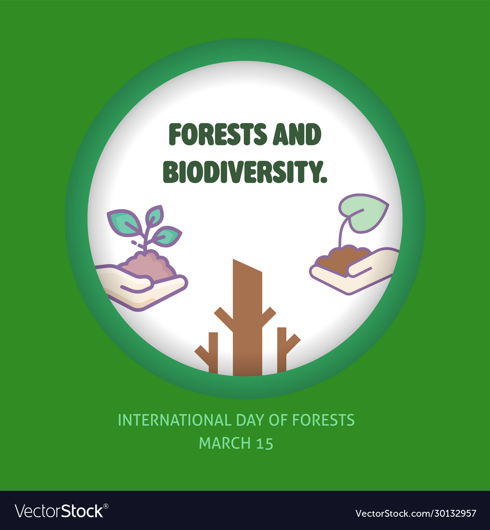 International day forest Royalty Free Vector Image