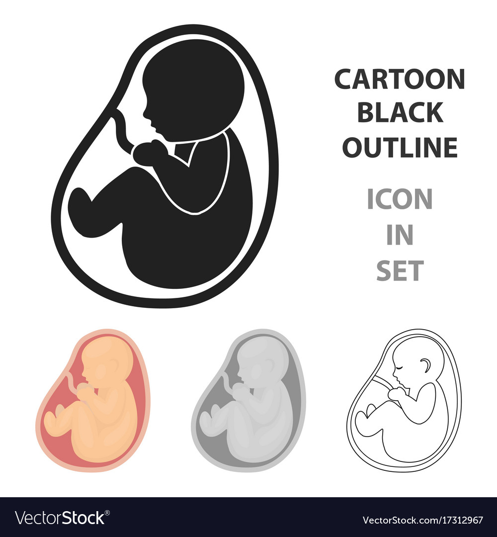 Fetus icon in cartoon style isolated on white Vector Image