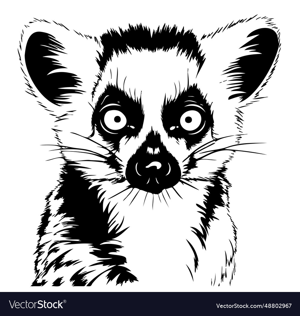 Lemur head sketch hand drawn Royalty Free Vector Image