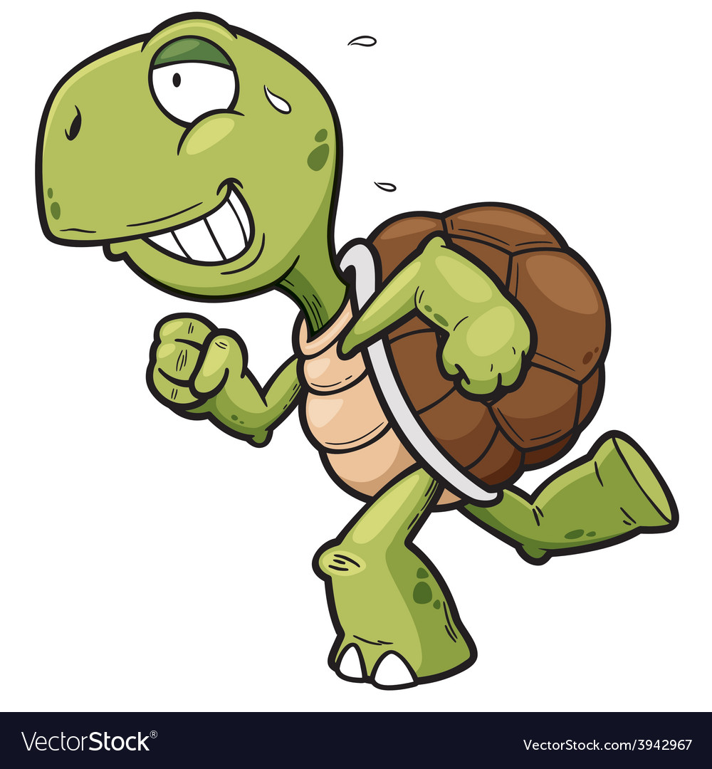 Turtle Royalty Free Vector Image - VectorStock