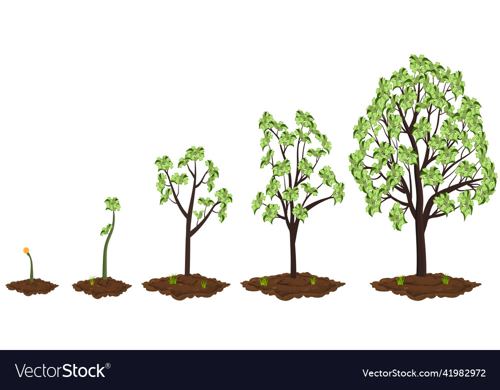 Five stages of growing money tree Royalty Free Vector Image