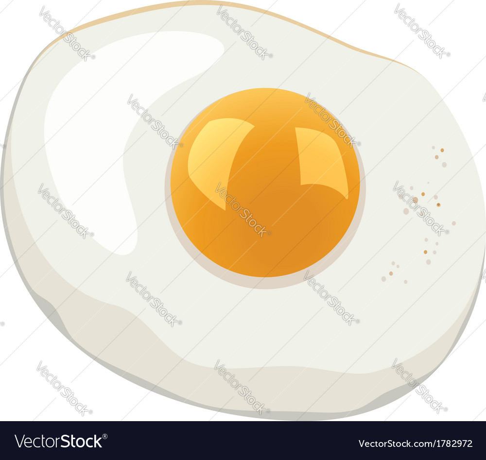 Fried Egg Royalty Free Vector Image Vectorstock