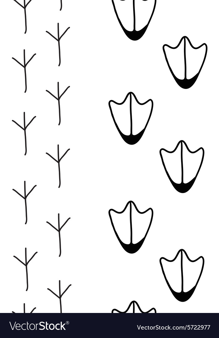 Birds footprints in black and white Royalty Free Vector