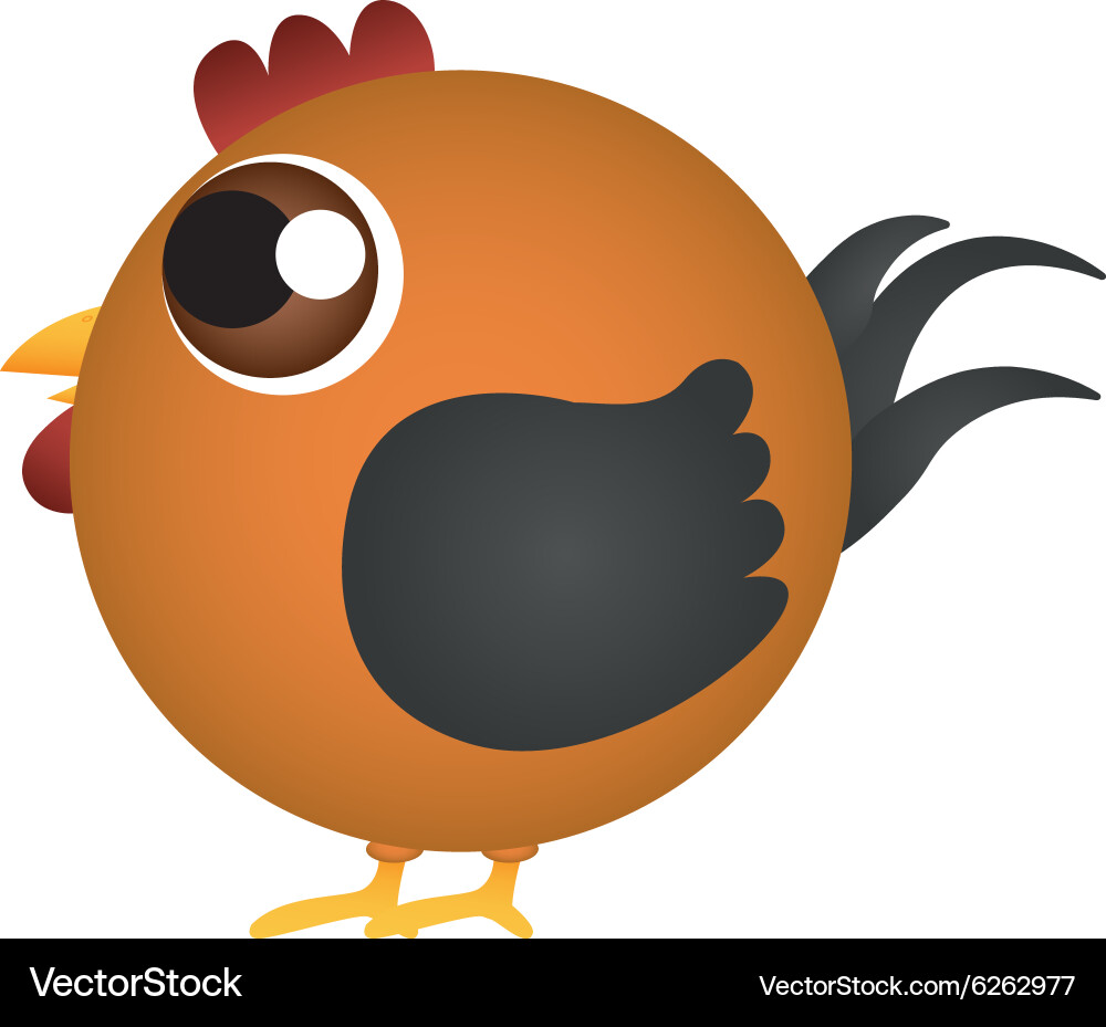 Chicken Royalty Free Vector Image - VectorStock