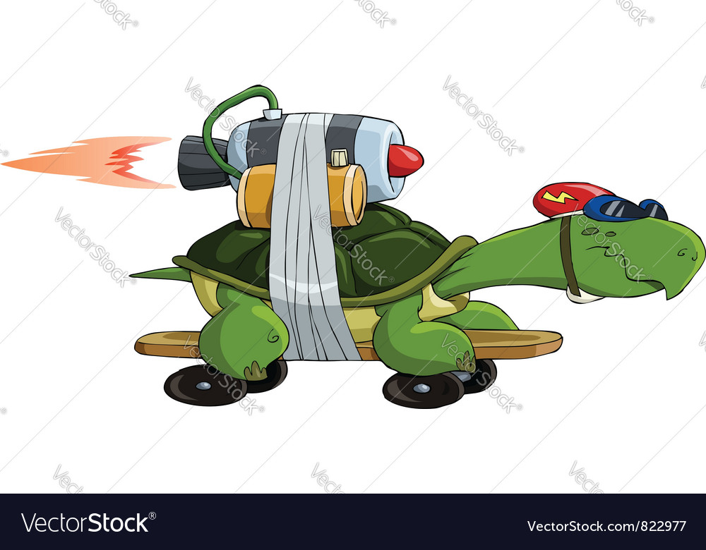 Turtle on a skateboard Royalty Free Vector Image