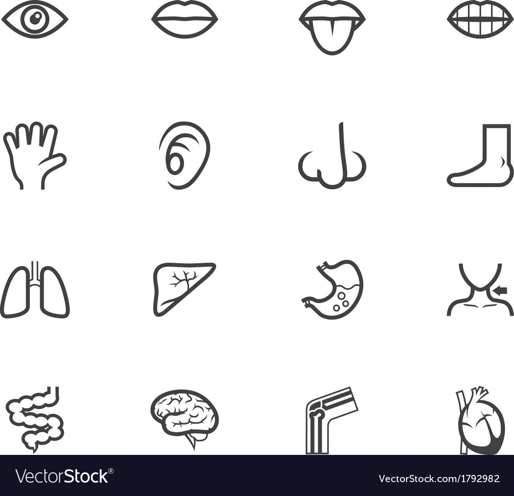 Body black icon set on white background Royalty Free Vector