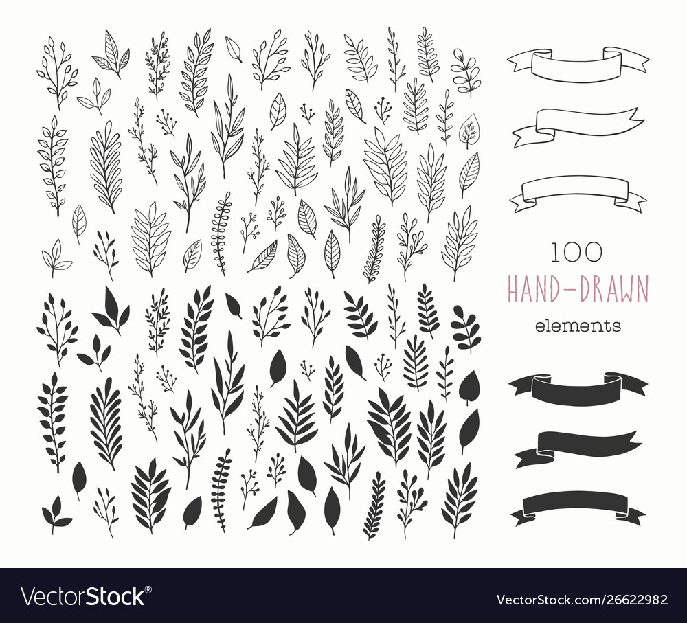 Set hand drawn floral design elements