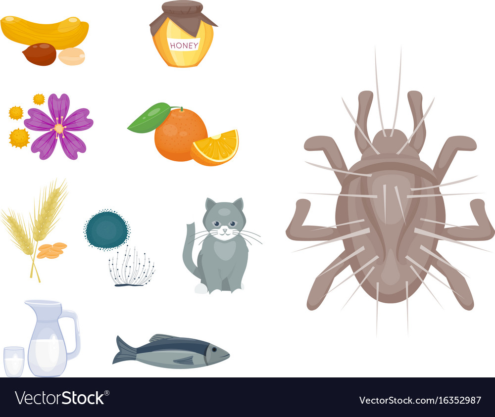 Allergy symbols disease healthcare food viruses Vector Image