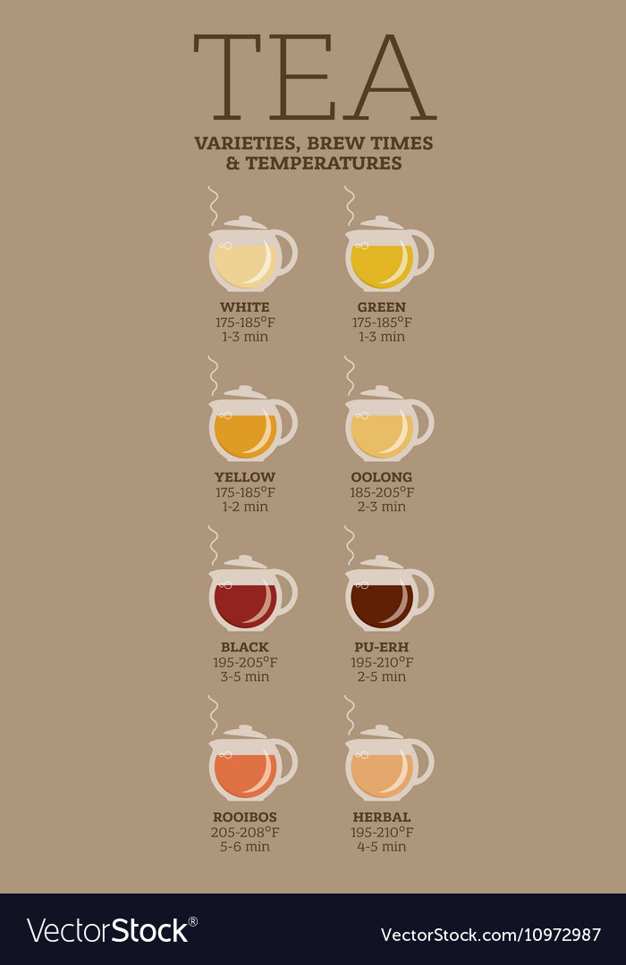 Tea varieties Brewing time and temperature Vector Image