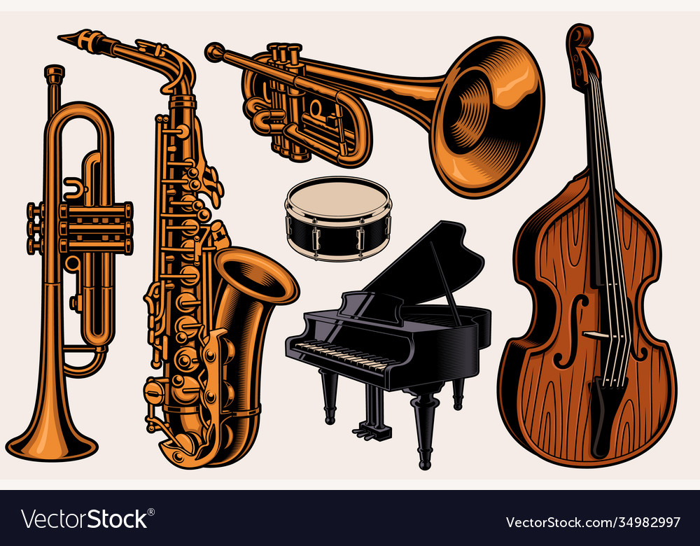 A set colorful different musical instruments Vector Image