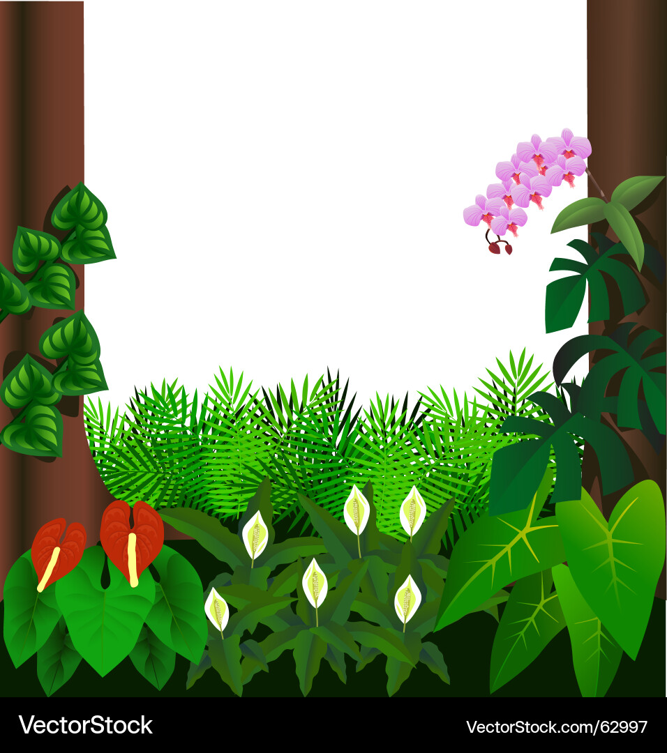 Forest view Royalty Free Vector Image - VectorStock