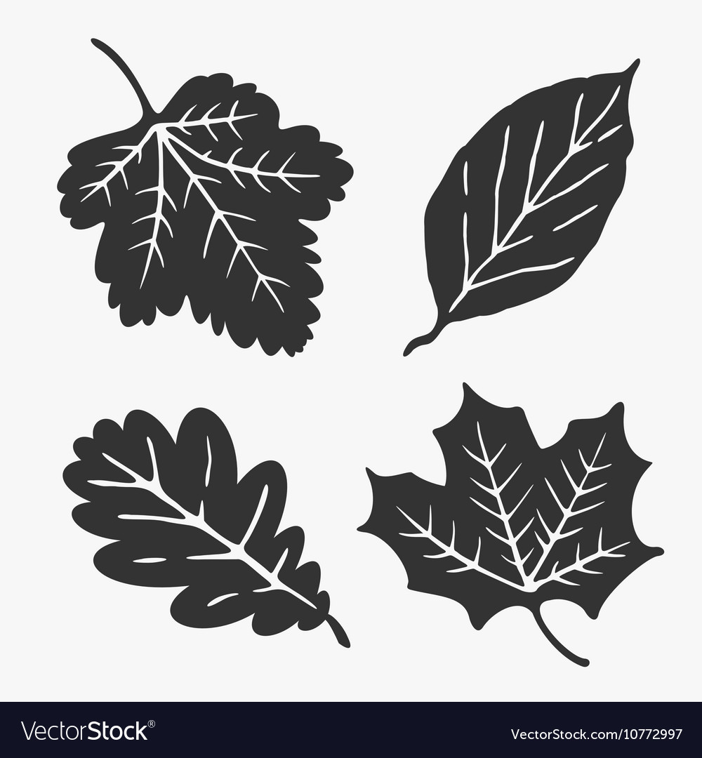 Leaves silhouette Royalty Free Vector Image - VectorStock