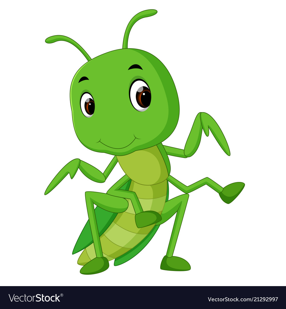 Praying mantis cartoon Royalty Free Vector Image