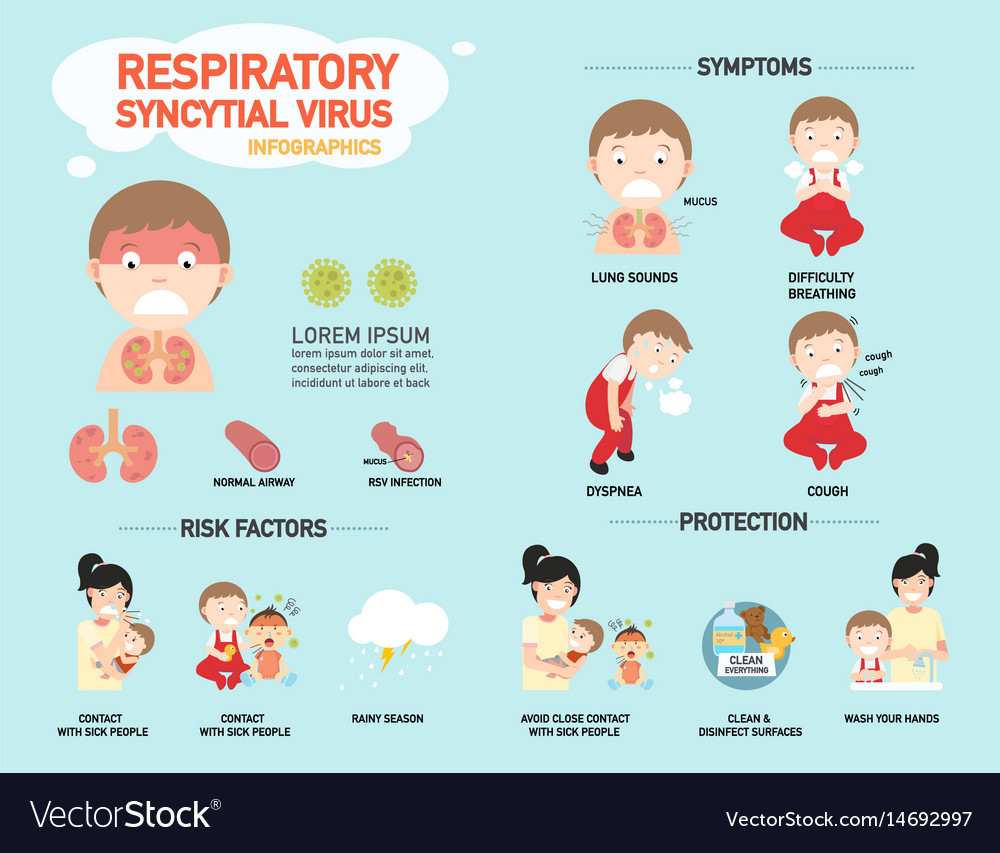Respiratory Syncytial Virus Infographic Royalty Free Vector