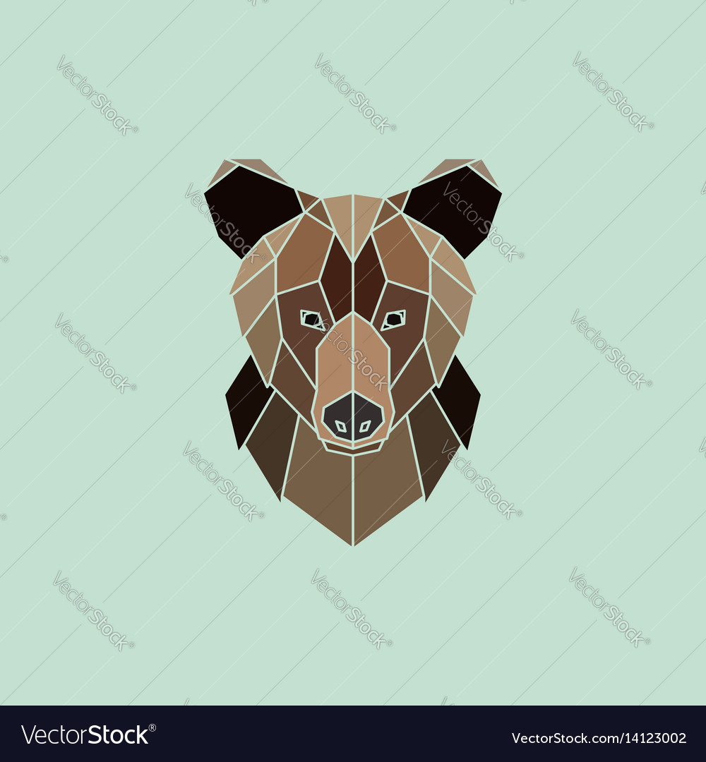 Brown bear portrait Royalty Free Vector Image - VectorStock