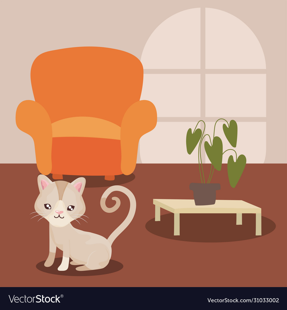 Cat in living room best sale