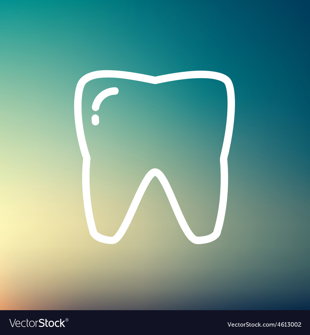 Tooth thin line icon