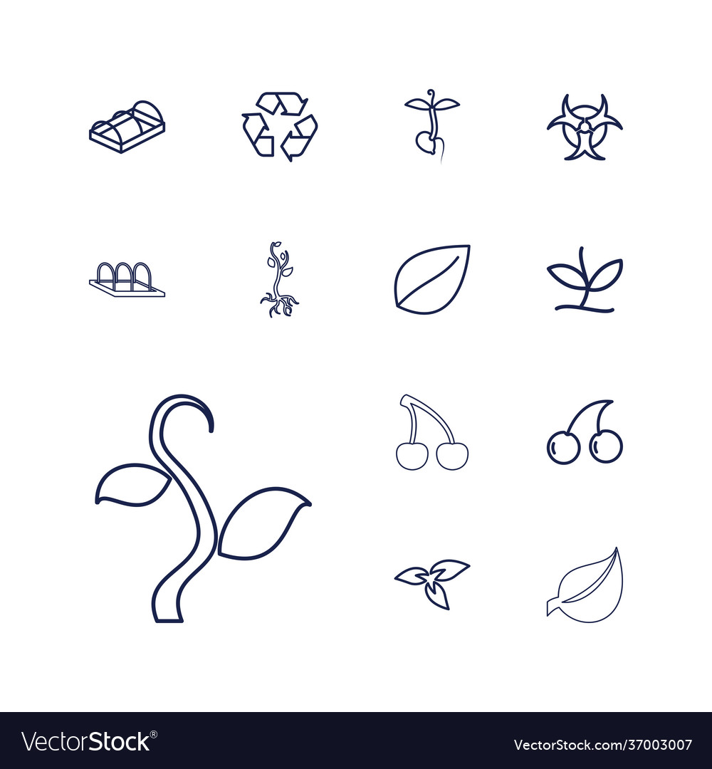 13 bio icons