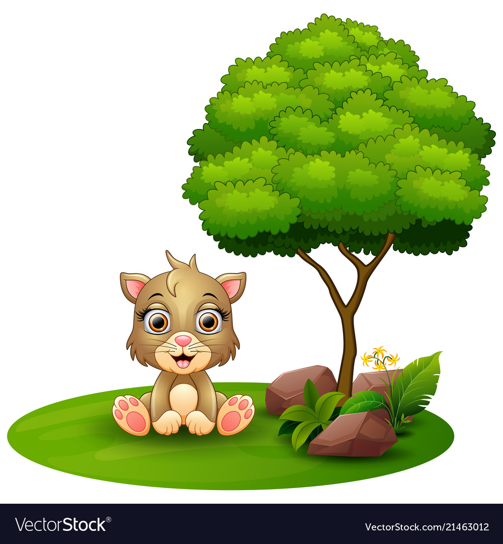 the cat is in the tree