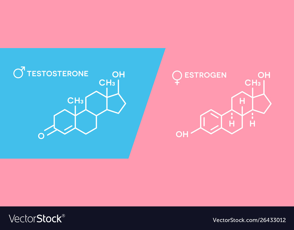 Estrogen and testosterone hormones symbol sex