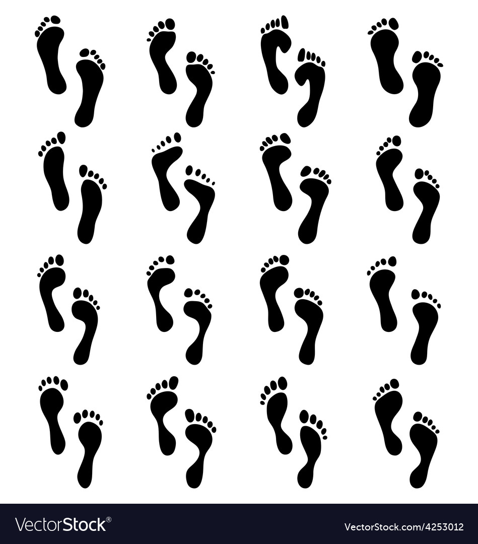 Human feet Royalty Free Vector Image - VectorStock