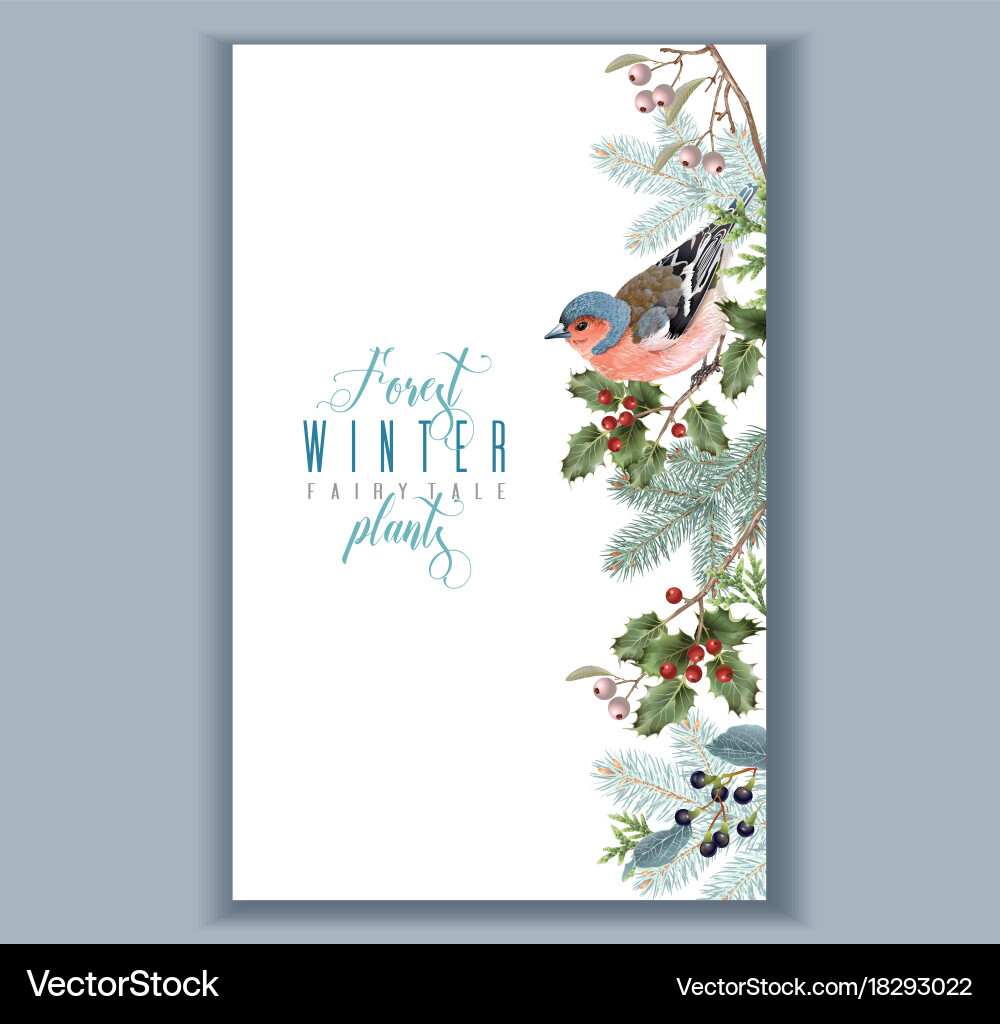 Bird winter border Royalty Free Vector Image - VectorStock
