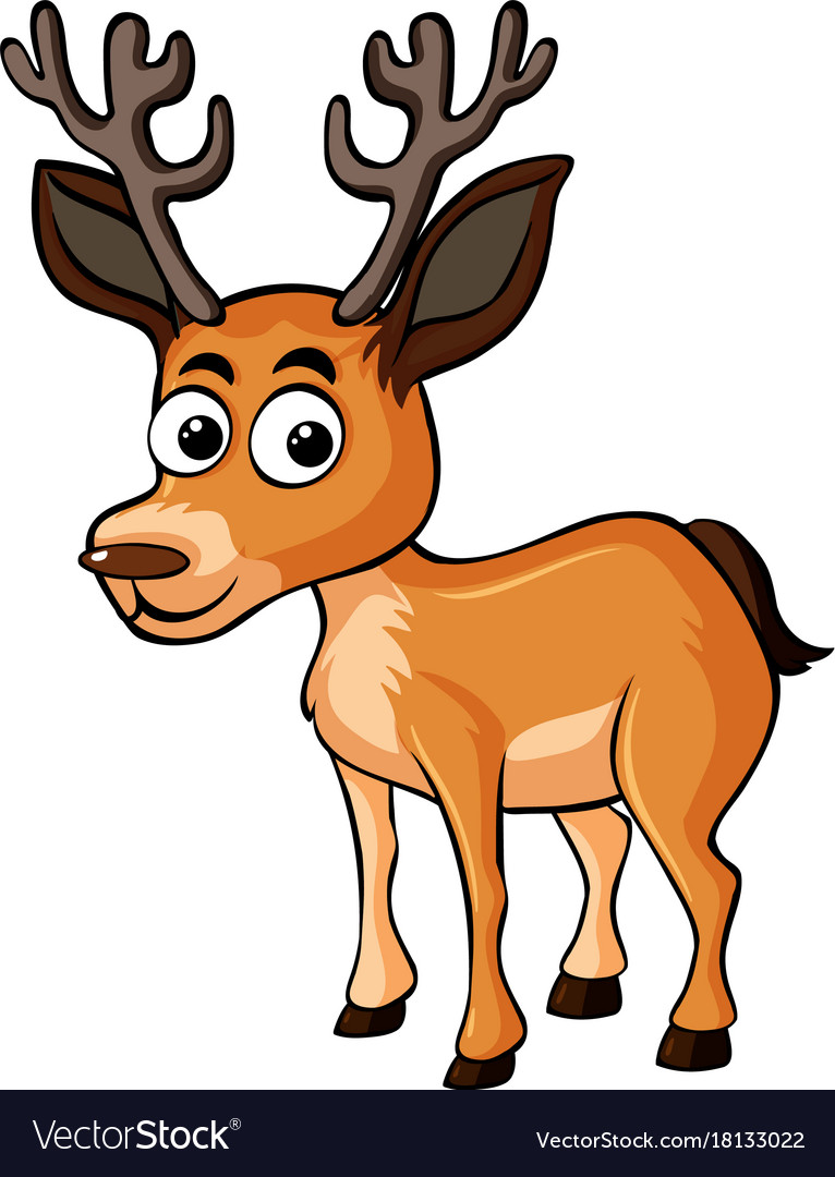 Cute deer on white background