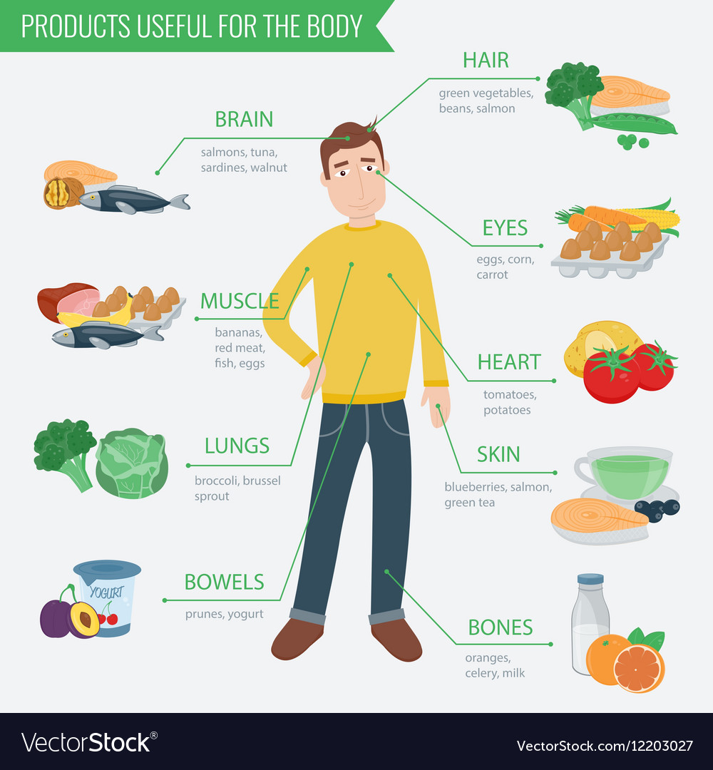 healthy-food-for-human-body-eating-royalty-free-vector-image