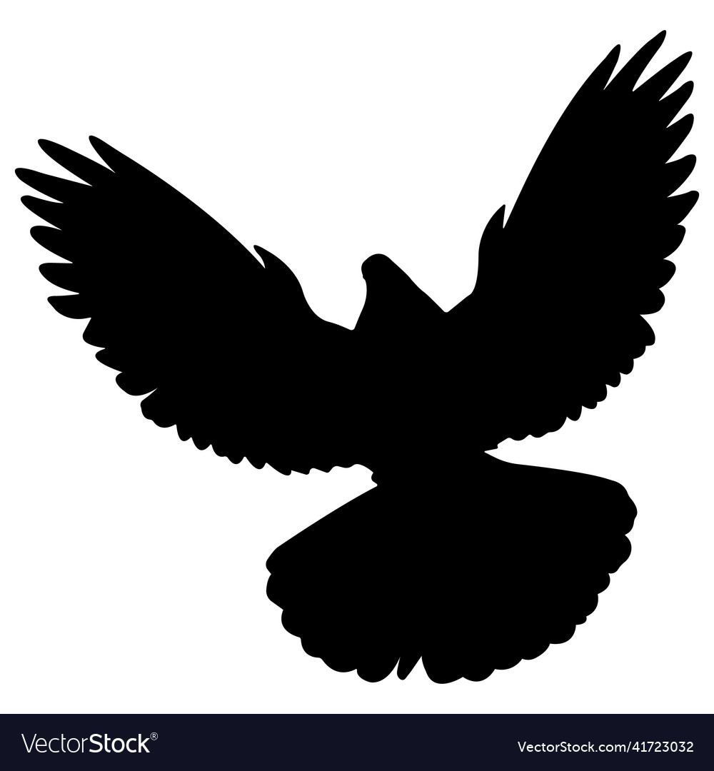 Silhouette of a dove Royalty Free Vector Image