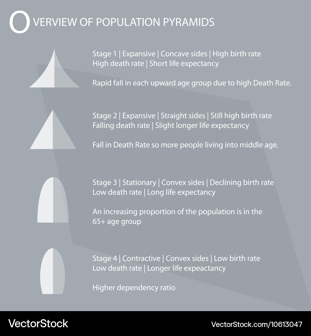 The Four Type of Population Pyramids Charts Vector Image
