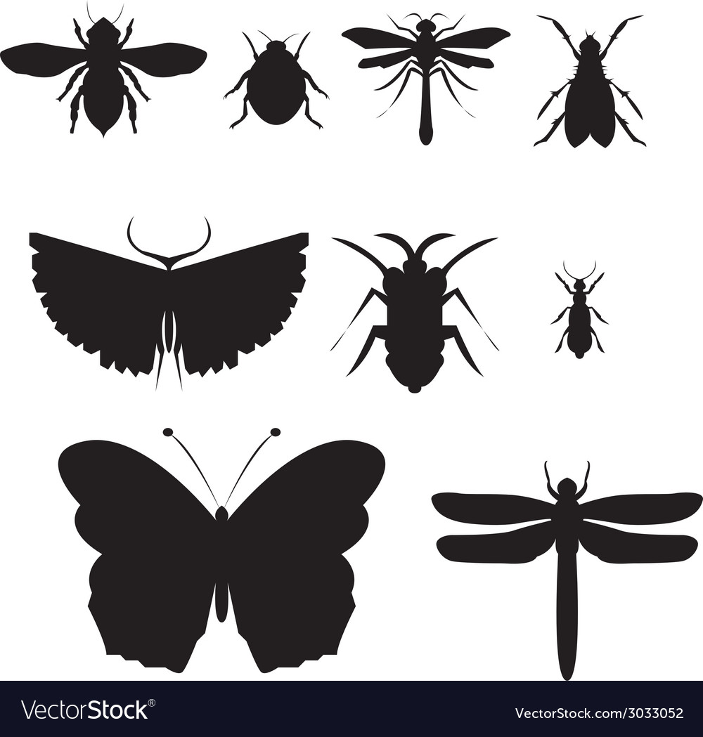 Black insect icon set