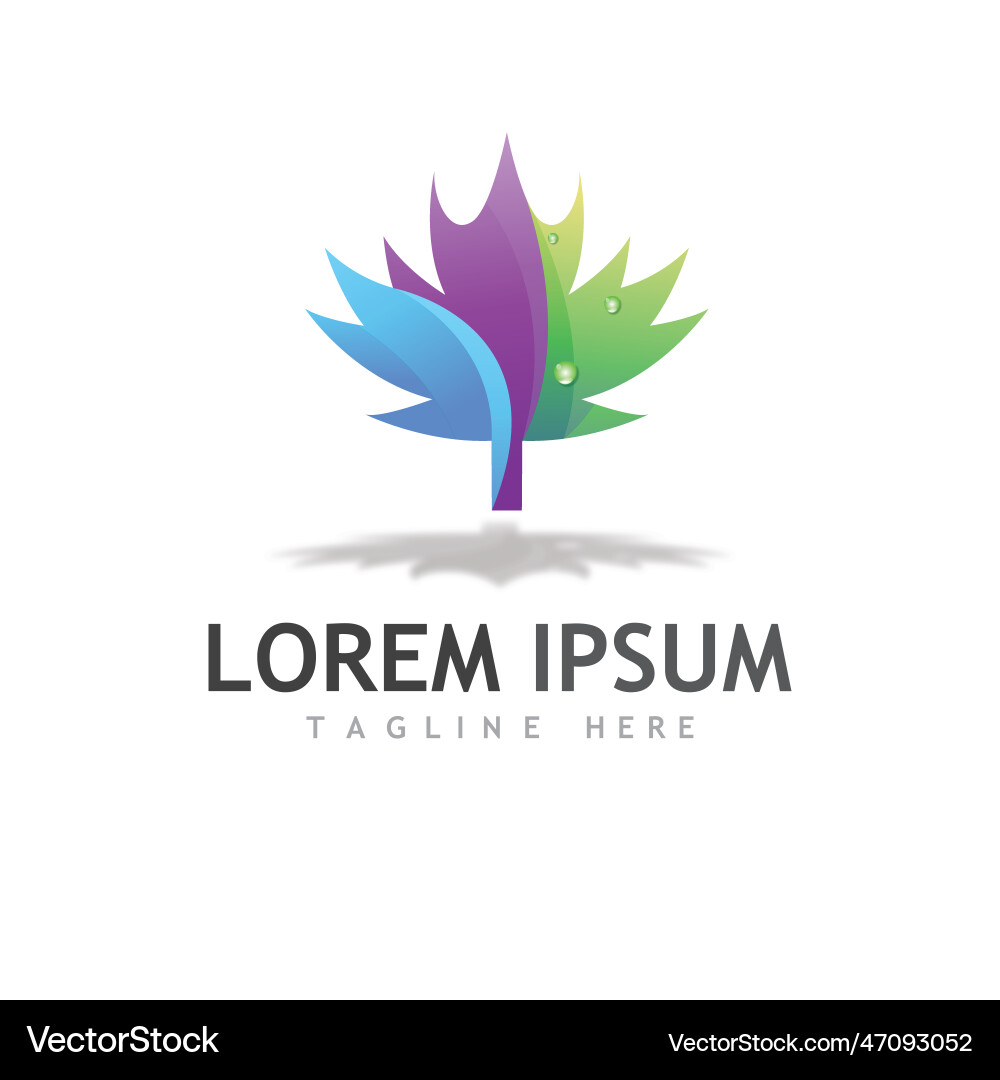 Maple leaf Royalty Free Vector Image - VectorStock