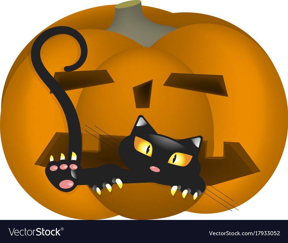 Pumpkin scares cat