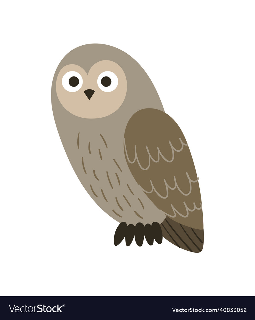 Wild brown owl