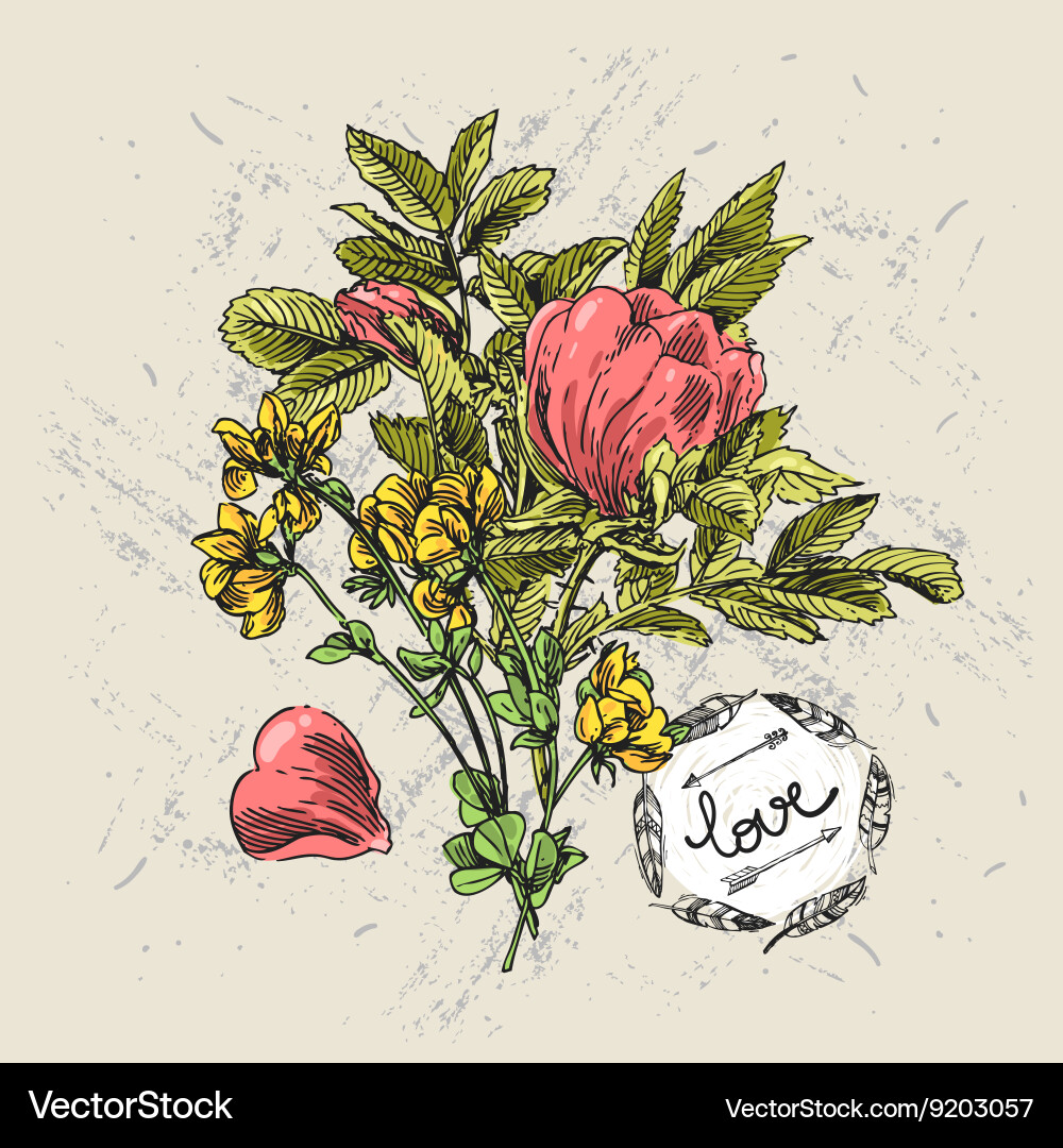 Hand drawn flower Royalty Free Vector Image - VectorStock