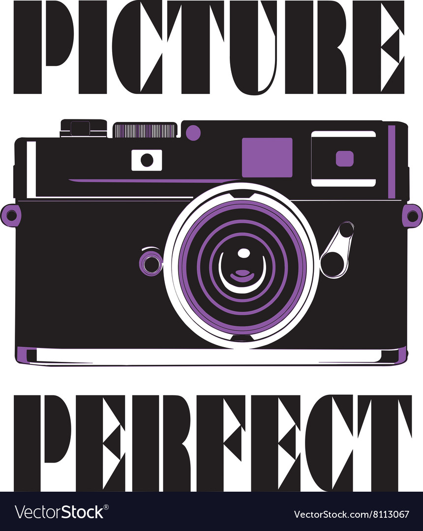 picture-perfect-royalty-free-vector-image-vectorstock