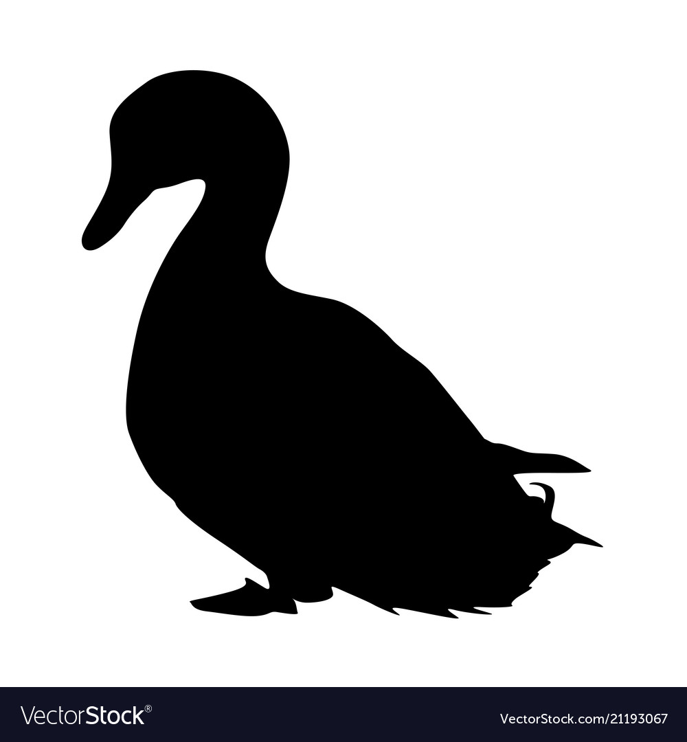 Silhouette bird goose on a white background